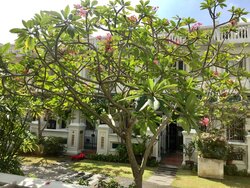 Everitt Road (D15), Apartment #456853111